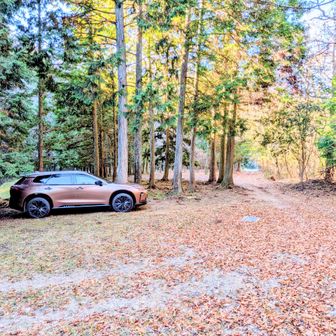 🅿️10台ぐらい停められそうな駐車場