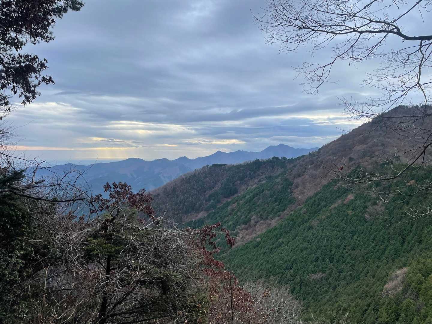 奥多摩駅-本仁田山-瘤高山-川苔山-赤久奈山-古里駅 縦走コースの写真