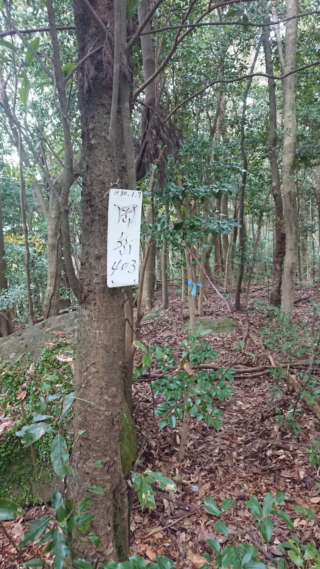 岡岳！