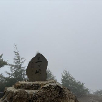 富士山見えず🗻