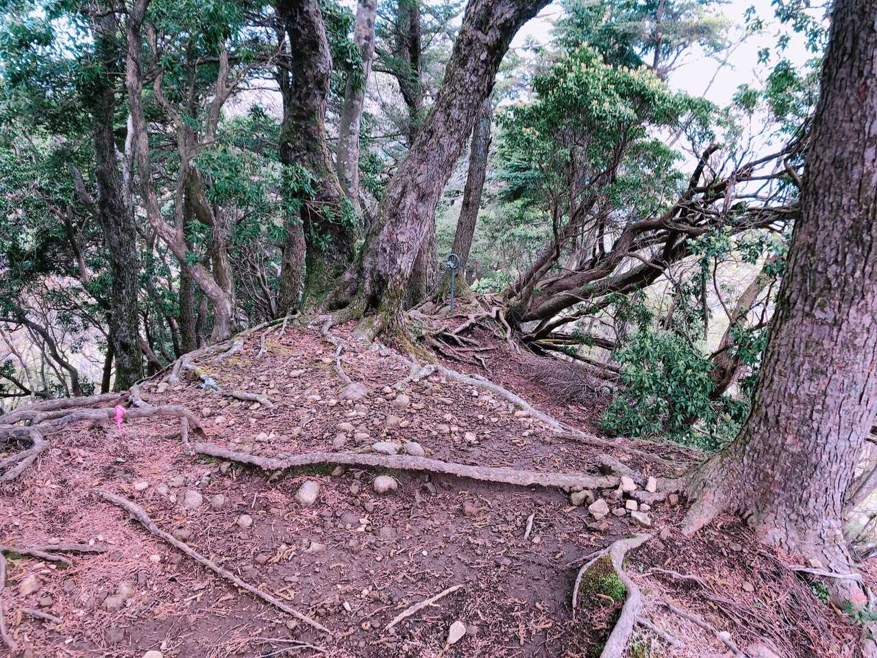 七沢山の写真