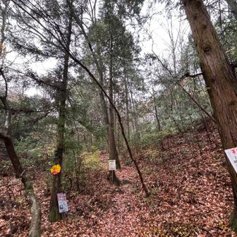 自然の森Pより、少し歩いてスタートぅ