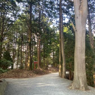 綺麗な参道