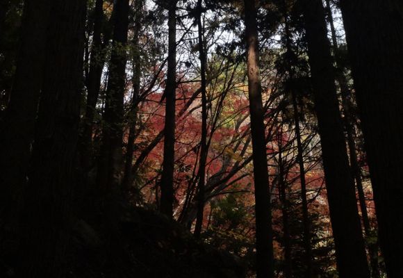 隊長 | YAMAP / ヤマップ