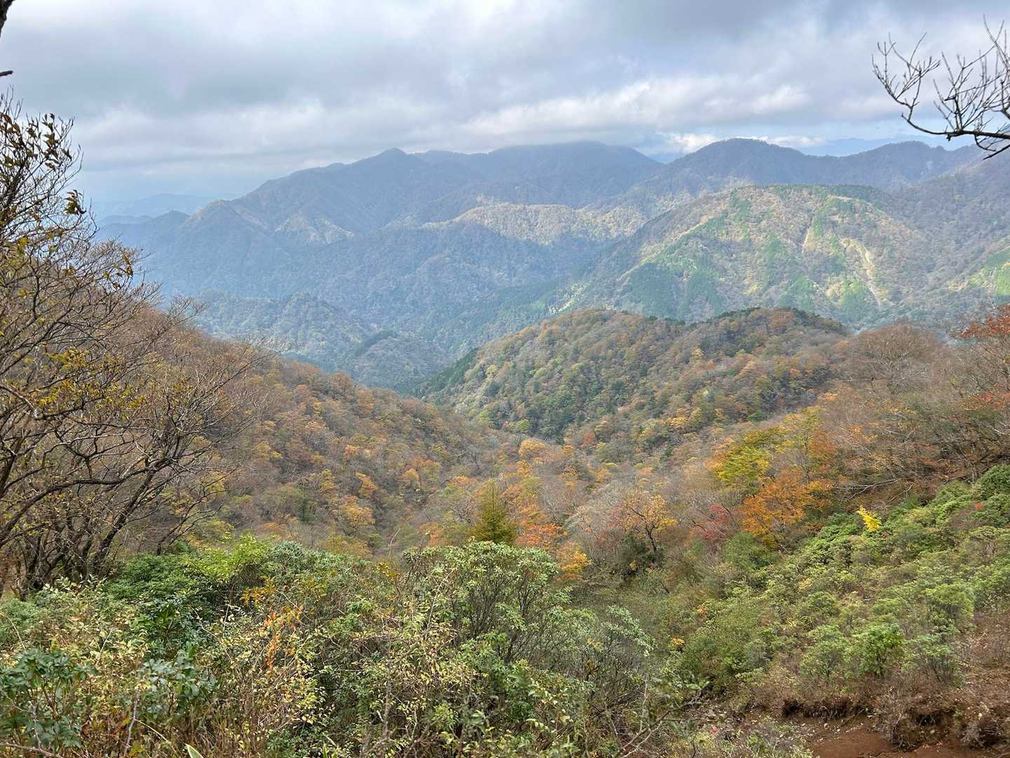 紅葉🍁してますね