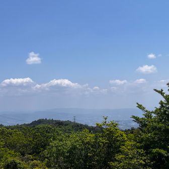 宇治方面