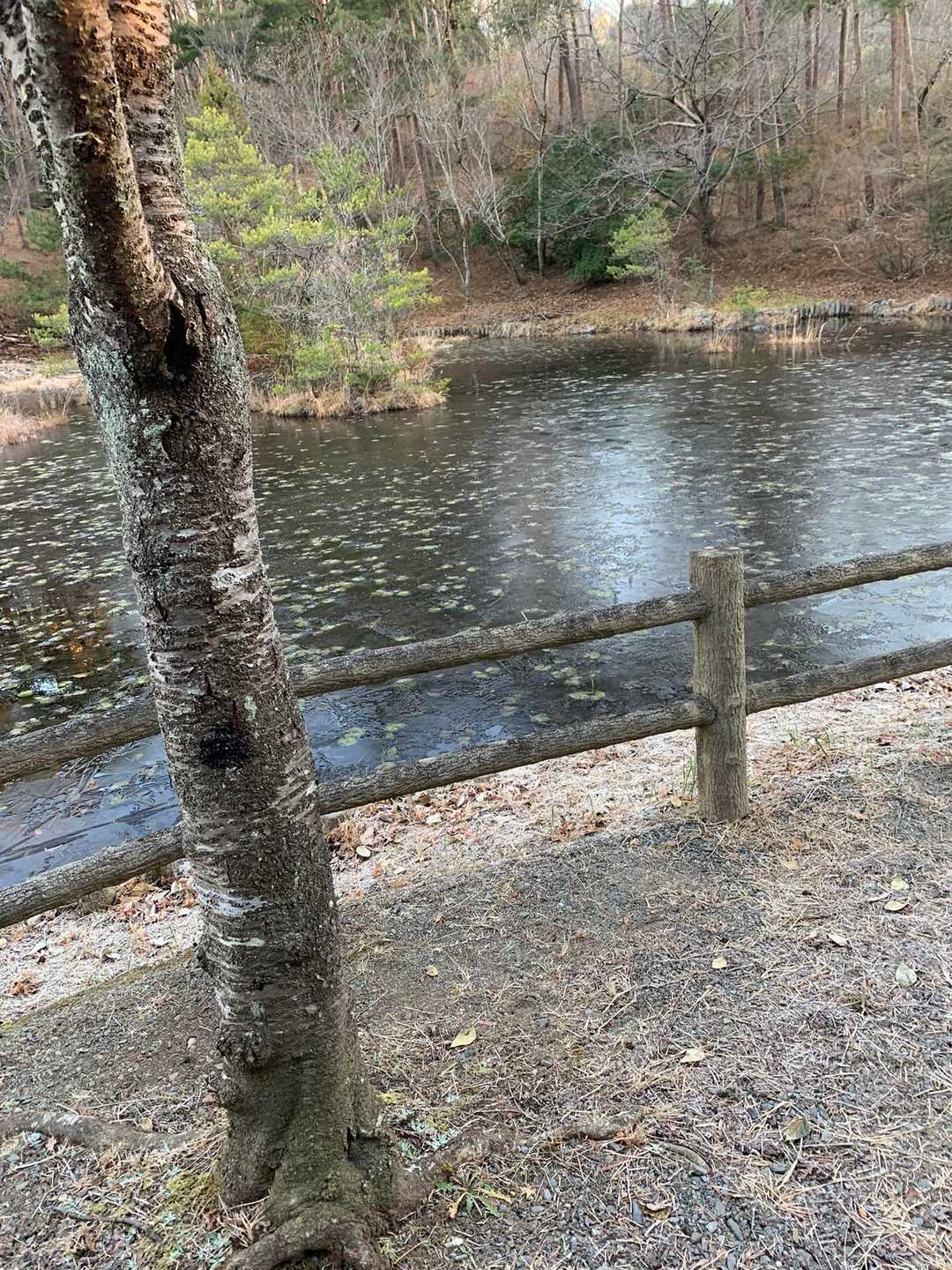 中央園池