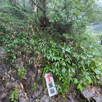 そして、いよいよ最後の鎖場へ