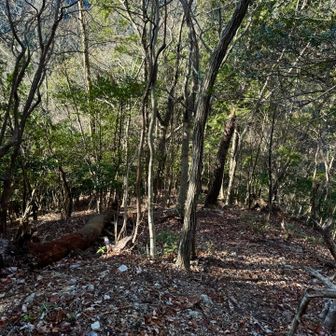 平坦に見えるけど激上り
振り返って📸