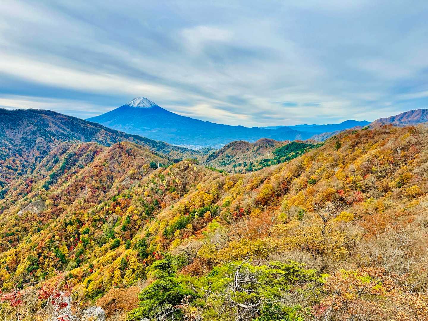 ここから三ッ峠まで稜線はずっと紅葉🍁🍂