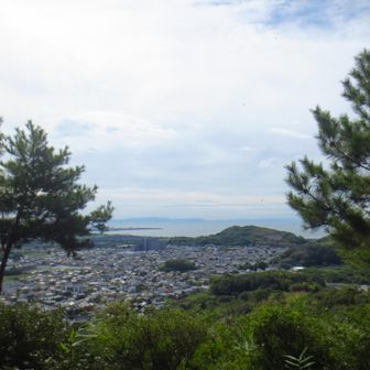 海が見えます