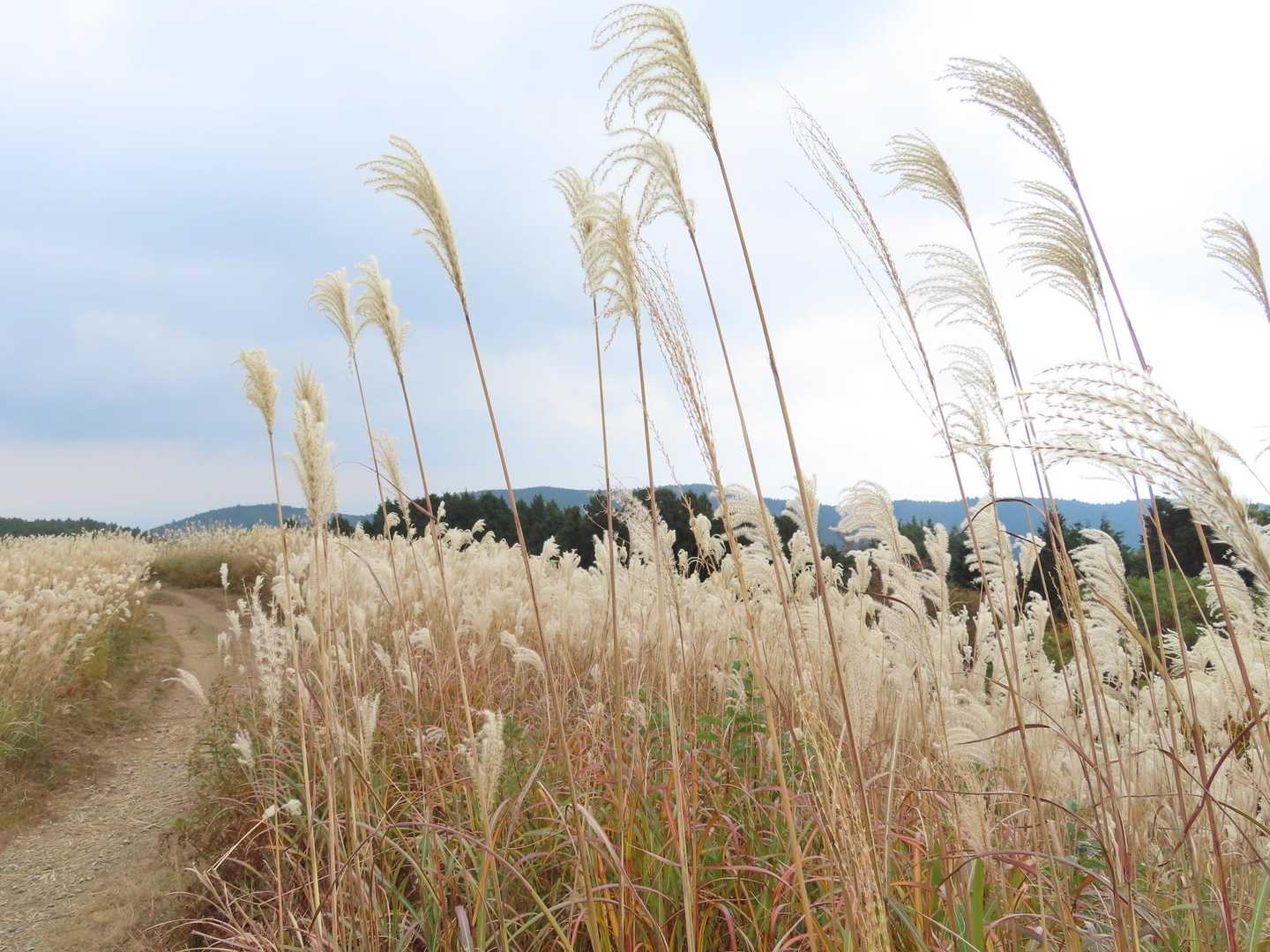 さいこー🌾
