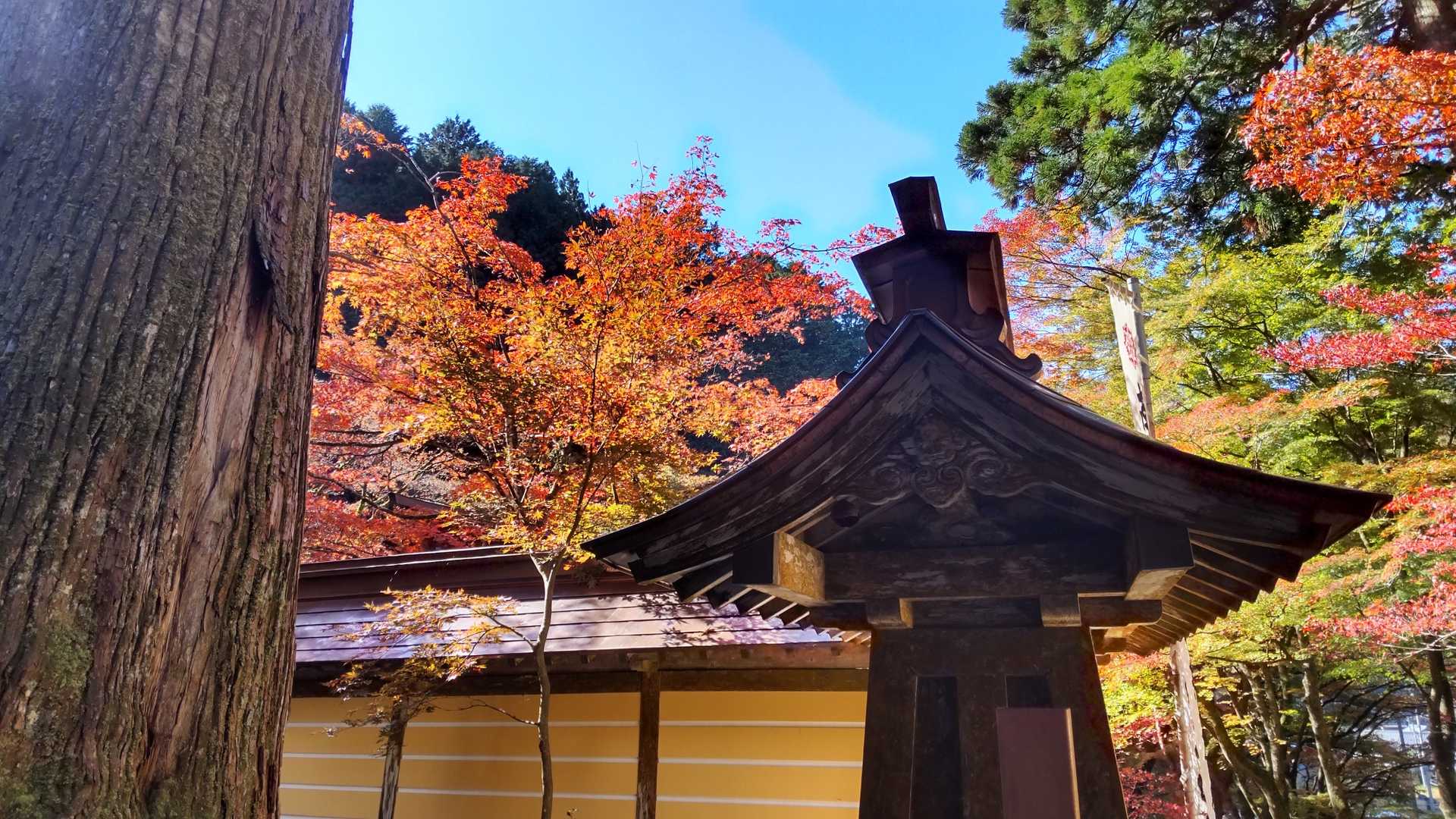 横蔵寺到着
真っ赤です🍁