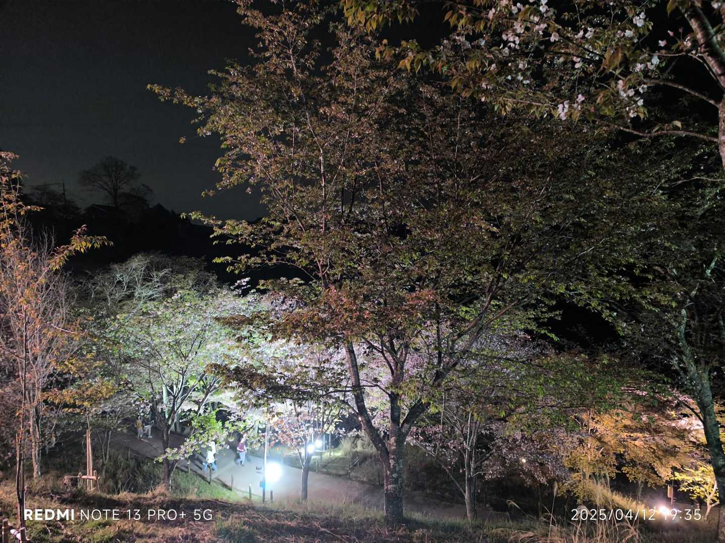 吉野水分神社-高城山-金峯神社-青根ヶ峰 往復コースの写真
