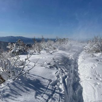 写真撮ったし帰ろ

雪はパウダーで風が吹くと飛ぶ
