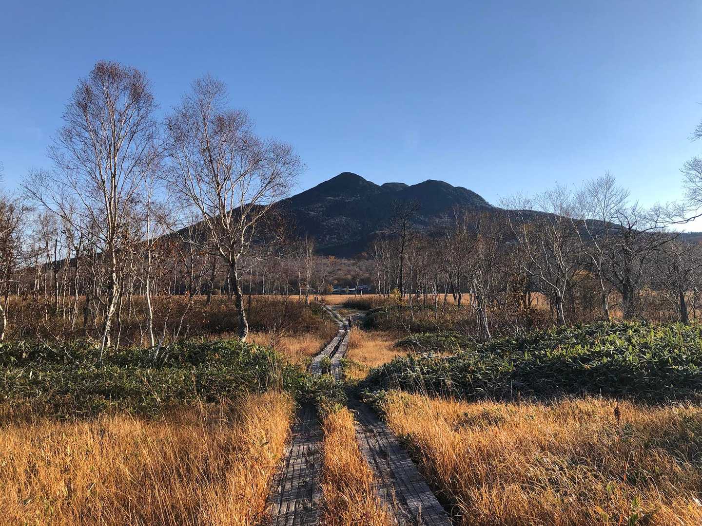 振り返り　燧ヶ岳