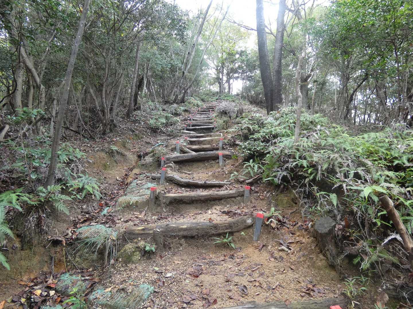 日ノ浦山登山口-日浦山 往復コースの写真