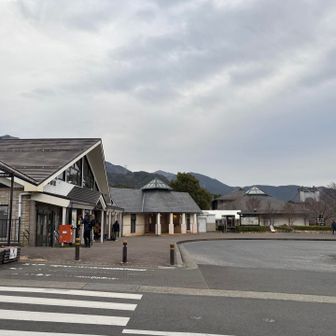 行きのバスは座れなかったけど、比較的人は少なめ