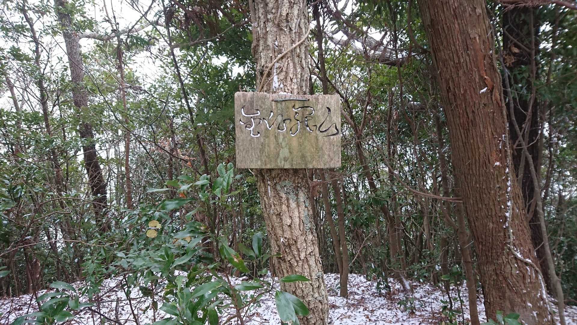 奥ノ院山と書いてあるのかな