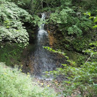 不動ノ滝。
この後かなり強めの雨に打たれた😂