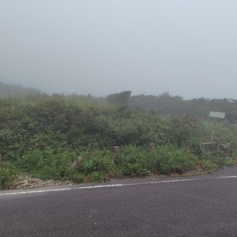 磐梯山や吾妻連峰の方は青空だったのに…😭確かに涼しい！涼しすぎて思わずﾚｲﾝｳｴｱを着込んでしまうほど🥶
こりゃ花を見つけるしかないか
と登っていくと