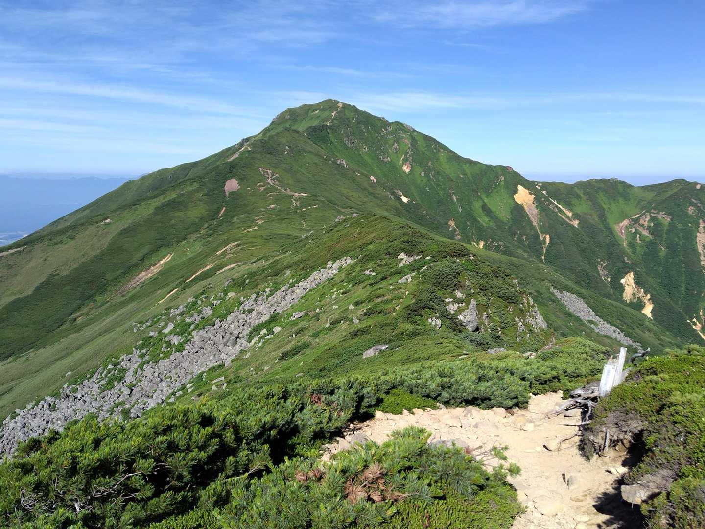 振り返ると雄大な富良野岳。