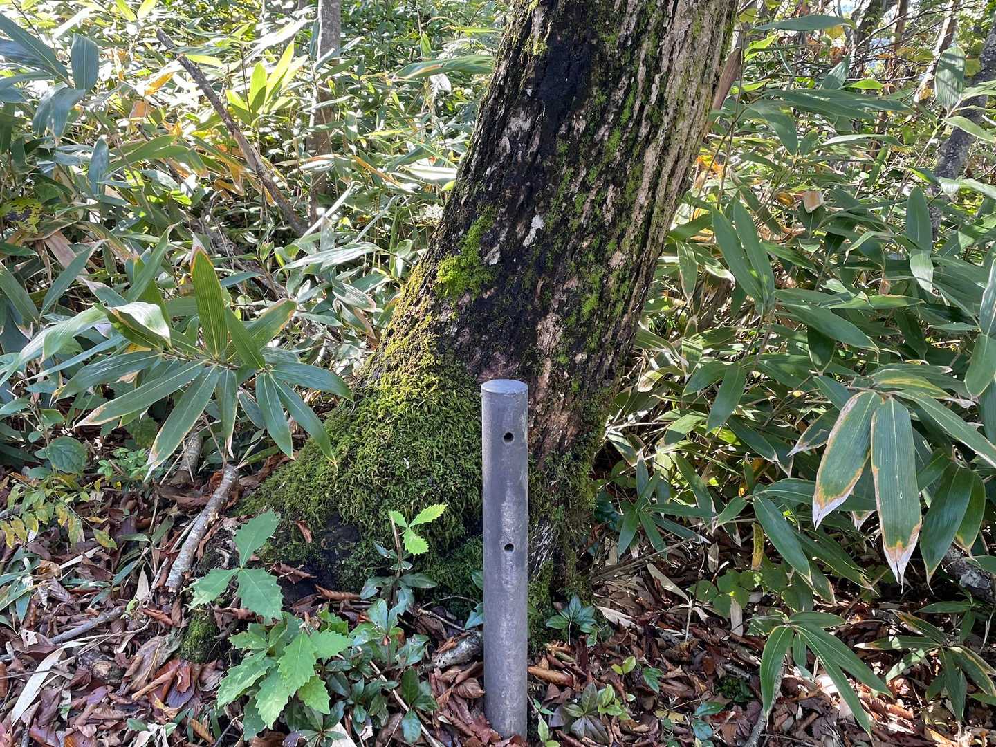 半分の看板どこかにおあずけ🖕