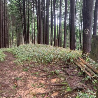 高谷山