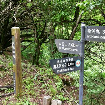 ここから用木沢出会いへ向け下山。