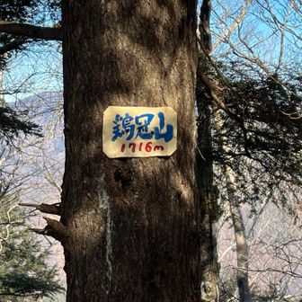 見晴台の所にも「鶏冠山」の山頂標識がありましたが、山梨百名山の山頂標識は神社の方にあります。