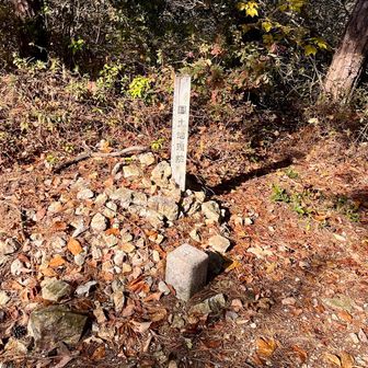 陰平山の三角点