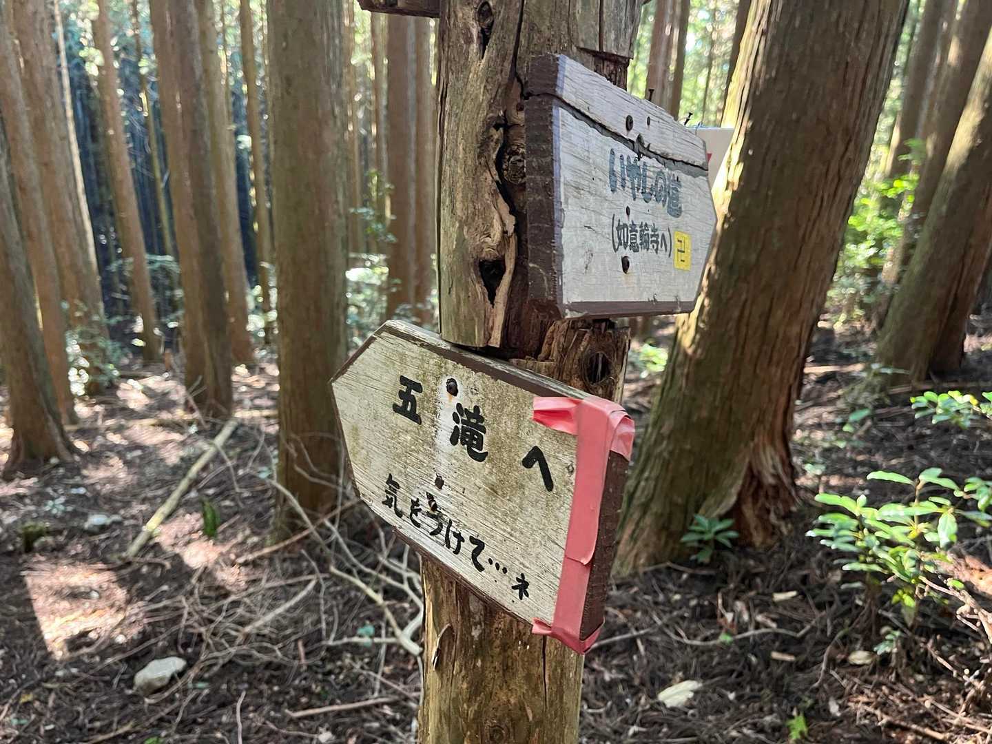 五滝への分岐点