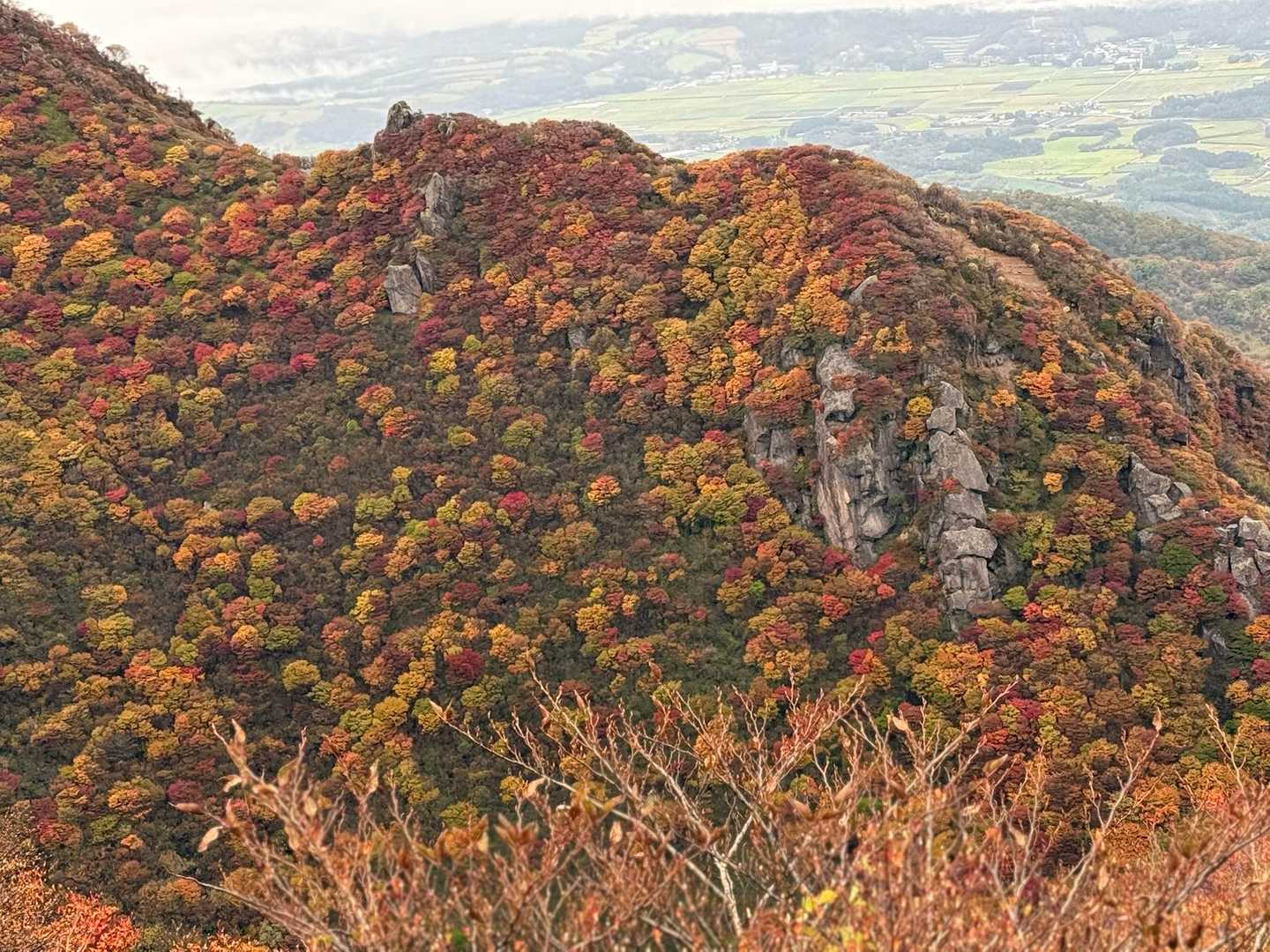 ミヤマキリシマと紅葉どちらも楽しめる三俣山への最短ルートの写真