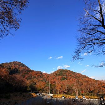 下りて来ました
ここでべんけいさんとお別れ