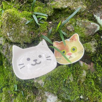 猫のお皿？🐈