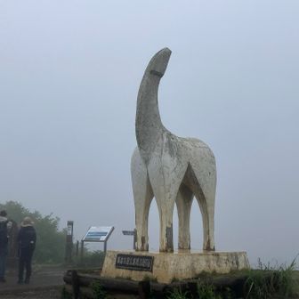 山頂とうちゃく
雨は止みましたが寒い！
休憩せずに景信山へ向かいます