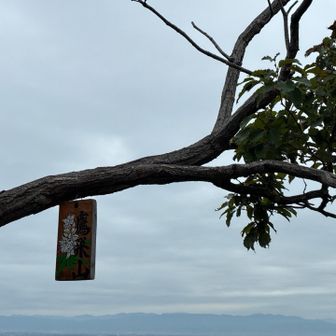 鷹の巣山