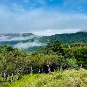 西島駅からの丸笹山＆塔丸
一刻、青空が広がりましたが…
下山後、車内でまったりしていると土砂降りに☂️

ベストタイミングで幻想的な剣山を堪能できました😊
