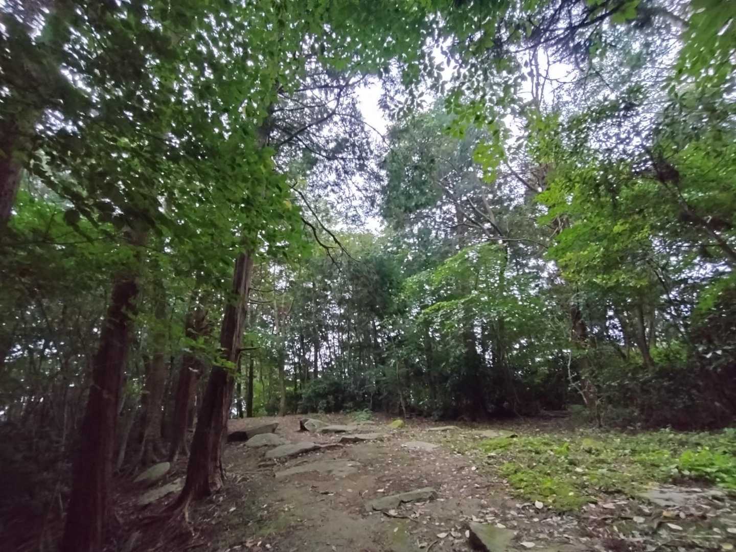 北峰-基山 周回コースの写真
