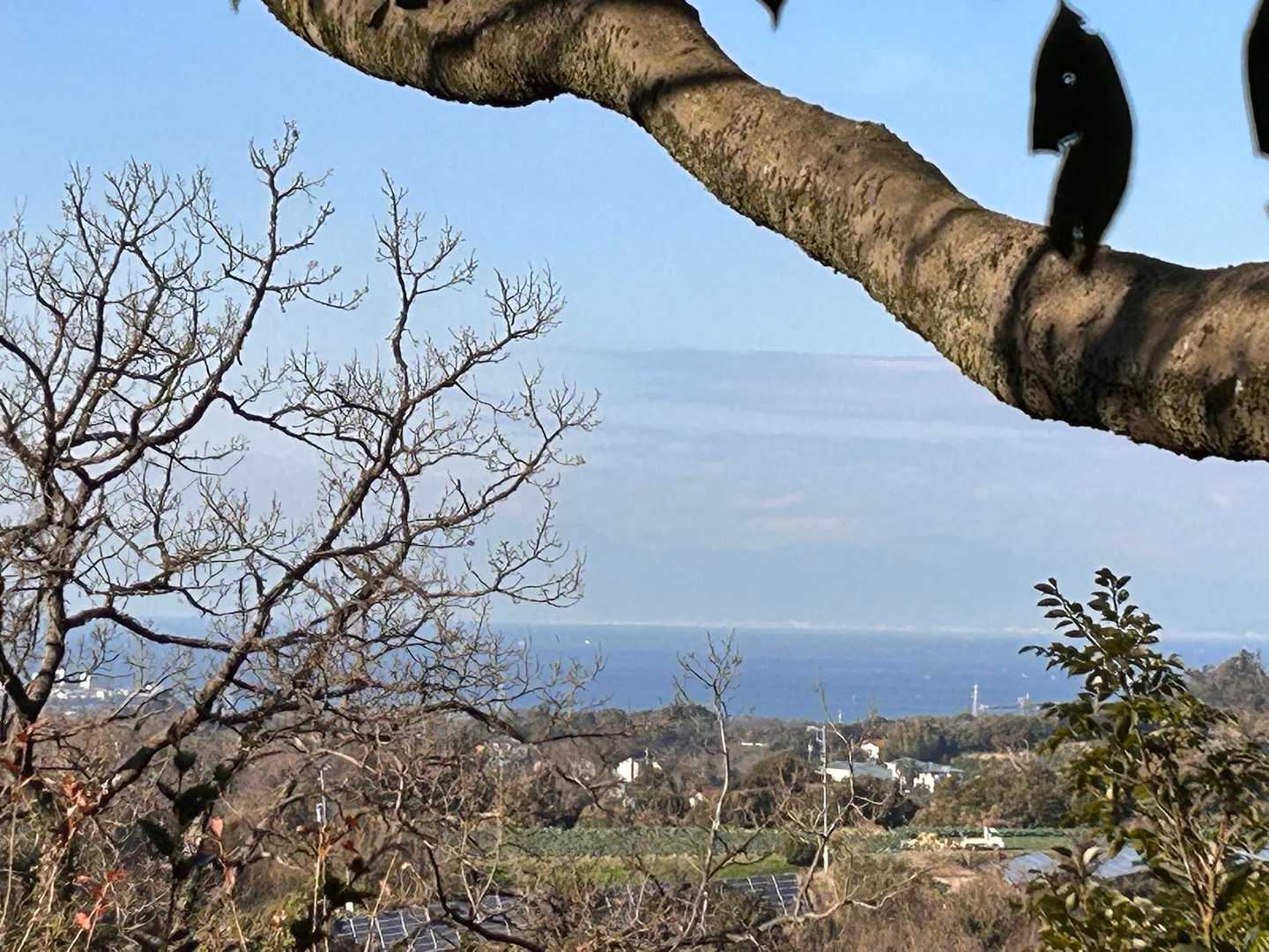 時折　海が見えます🌊