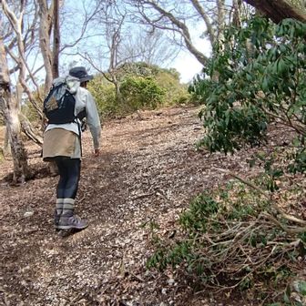 裏山への登り💦