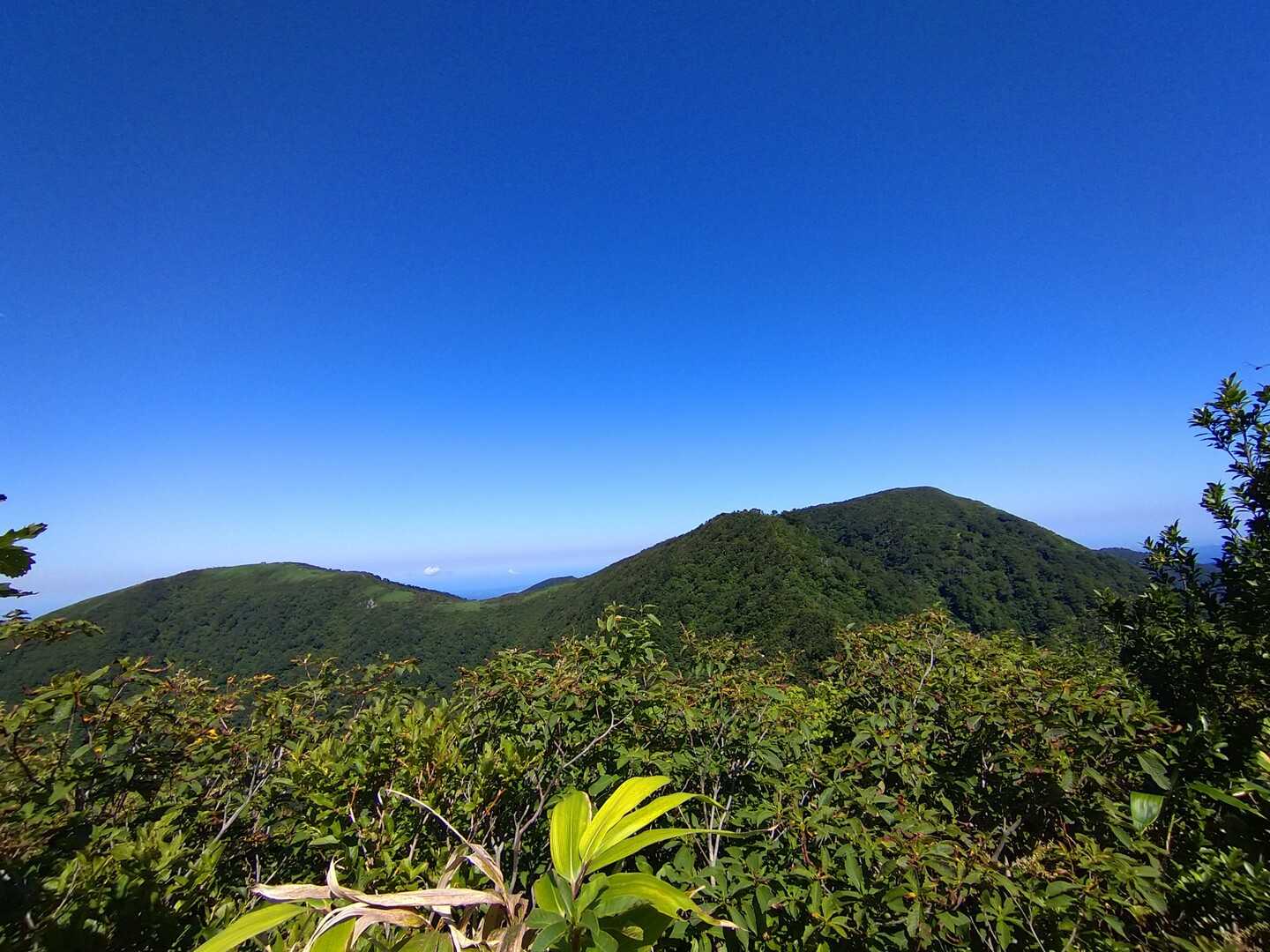 大日山の写真