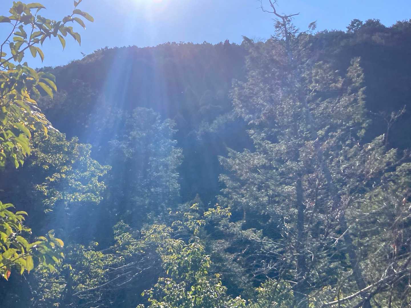遅く出たので、麓で下山者さんに今から登るの？と聞かれてしまう💦