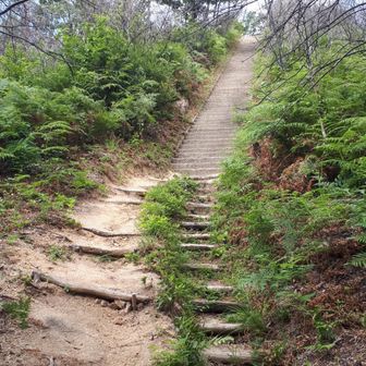 階段を上る、暑い。