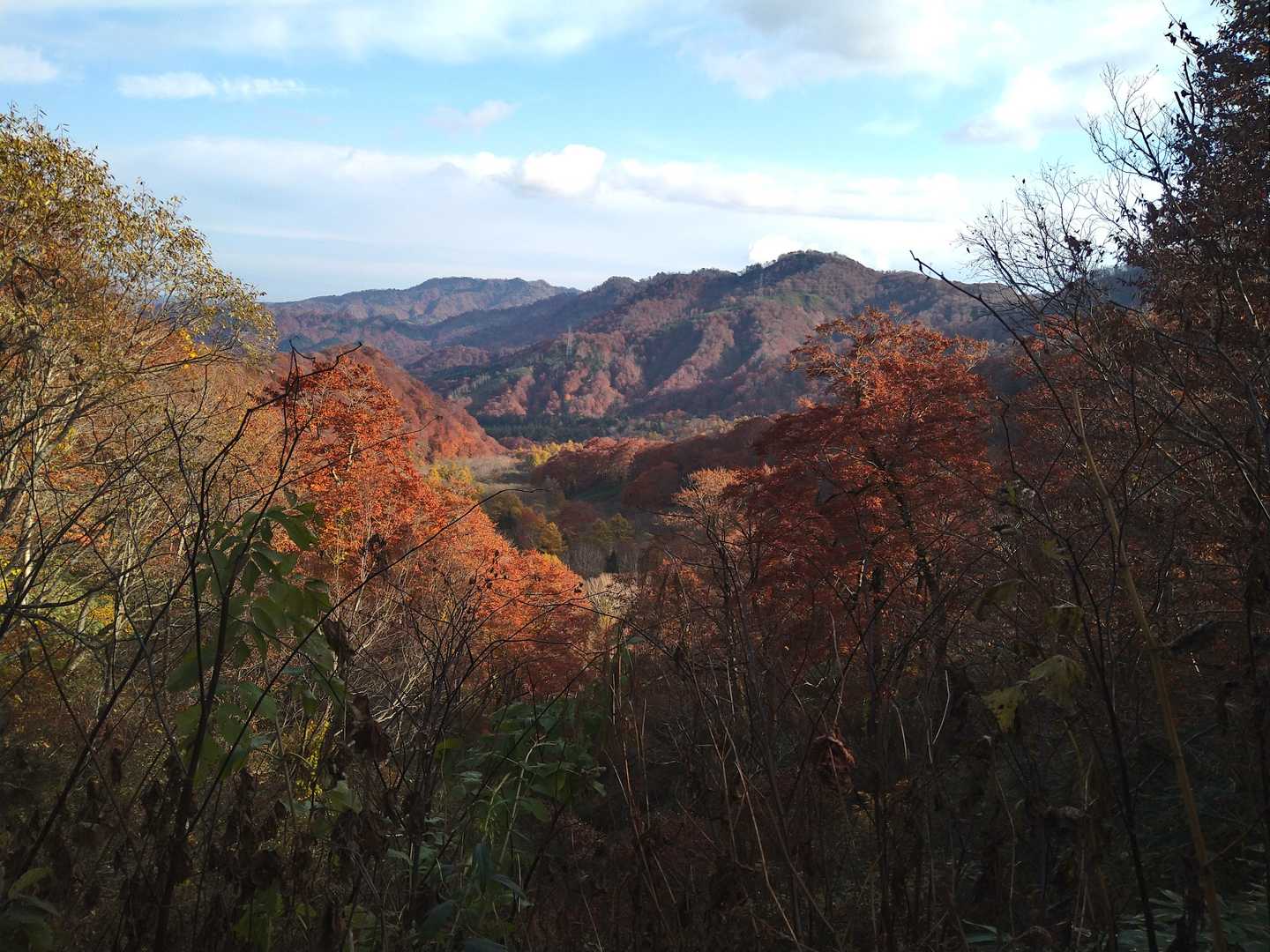 長万部岳登山口-長万部岳 往復コースの写真