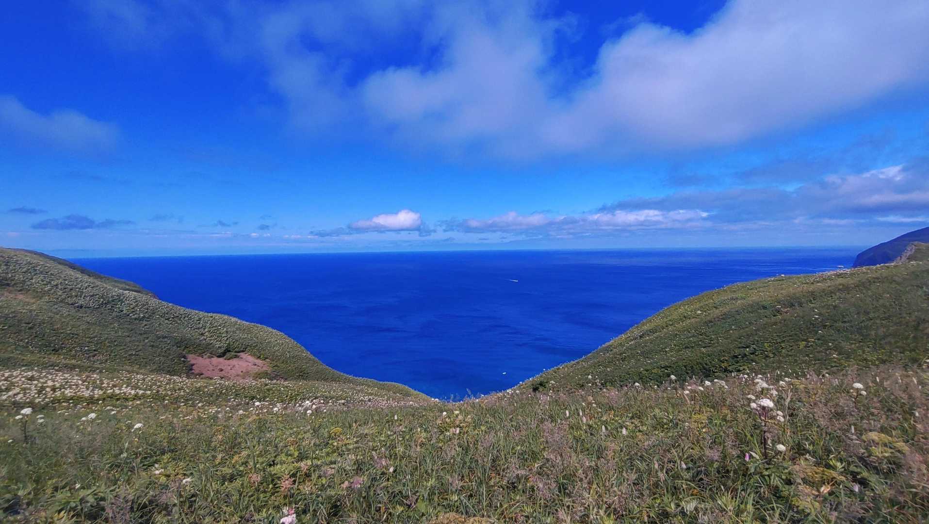 キンバイの谷-つばめ山 往復コースの写真