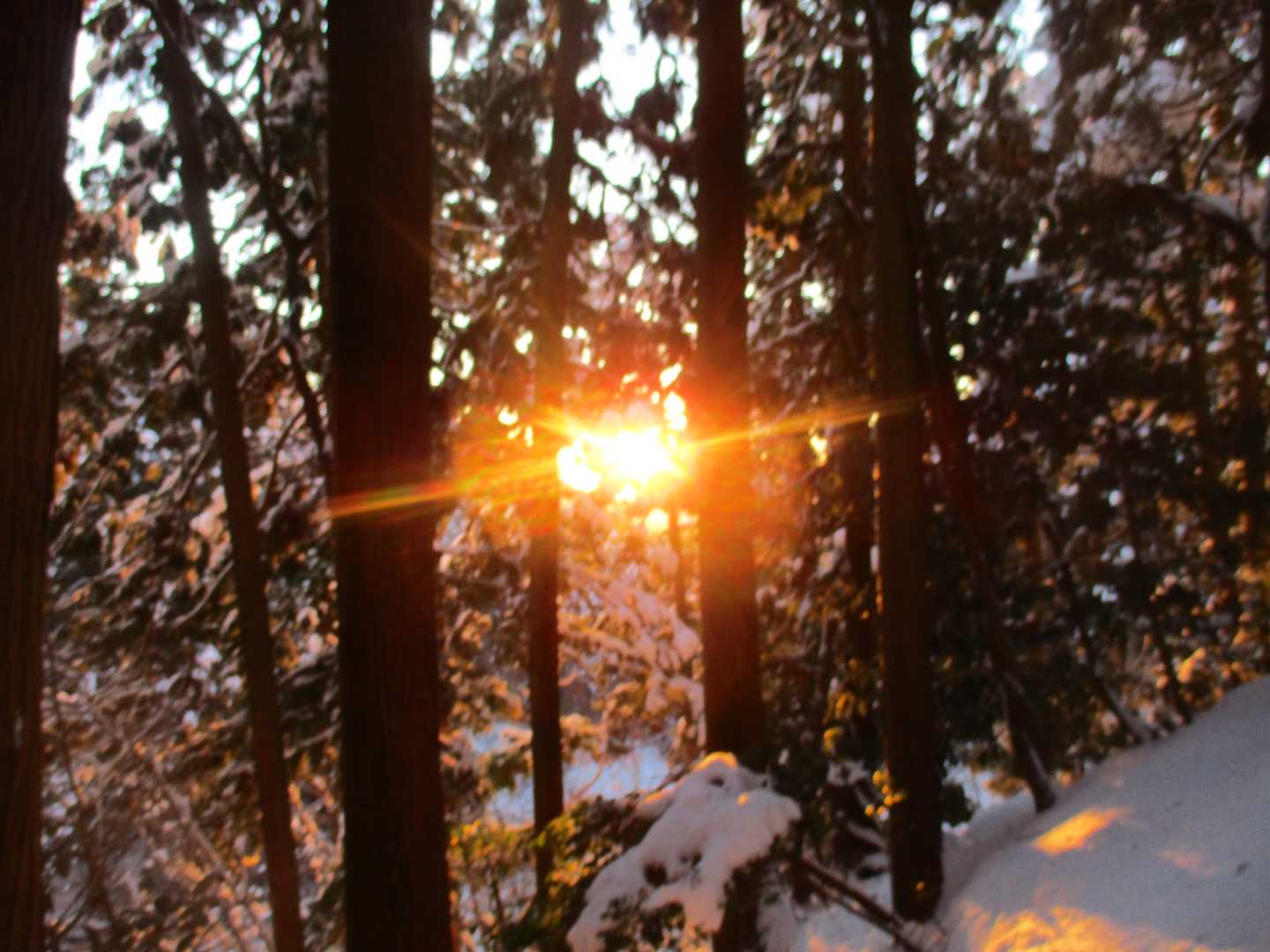 上平寺ルート登山口-京極氏遺跡-弥高山 往復コースの写真
