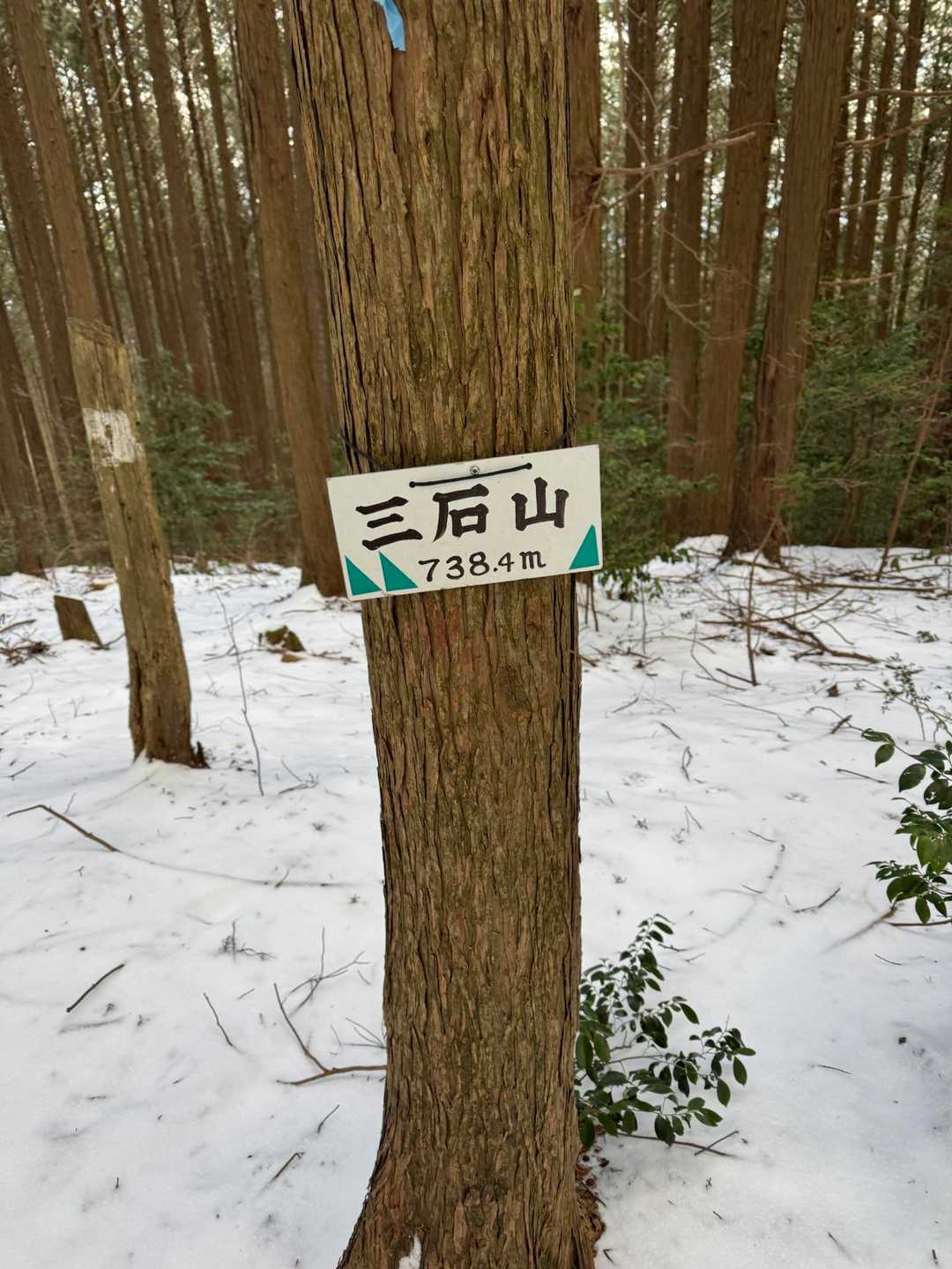 三石山登山口-三石山 往復コースの写真