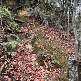 紀泉アルプス・飯盛山・ボンデン山 鎖場⛓️に…