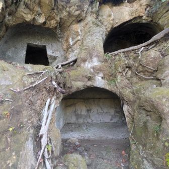 人の顔の様
笑ってますか〜？